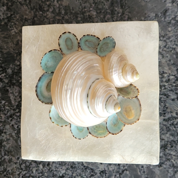 Marjorie Bloom Shell Trinket Box - Picture 2 of 11